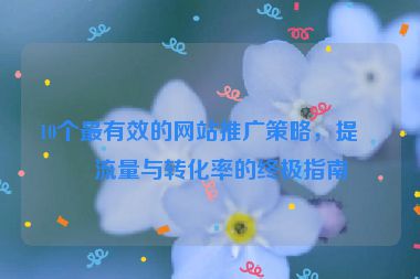 10個最有效的網(wǎng)站推廣策略，提升流量與轉(zhuǎn)化率的終極指南