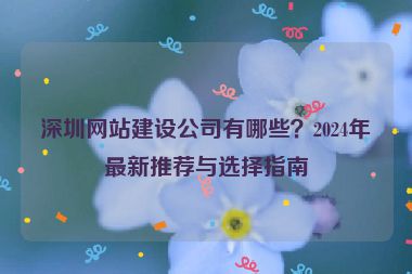 深圳網(wǎng)站建設公司有哪些？2024年最新推薦與選擇指南