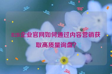 B2B企業(yè)官網(wǎng)如何通過(guò)內(nèi)容營(yíng)銷(xiāo)獲取高質(zhì)量詢(xún)盤(pán)？