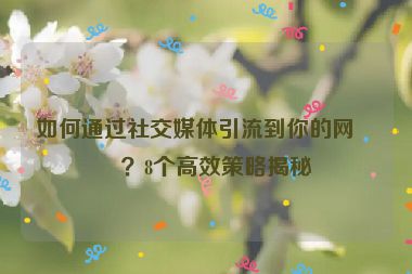 如何通過社交媒體引流到你的網(wǎng)站？8個高效策略揭秘