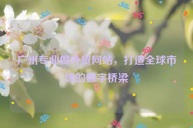 廣州專業(yè)做外貿(mào)網(wǎng)站，打造全球市場(chǎng)的數(shù)字橋梁