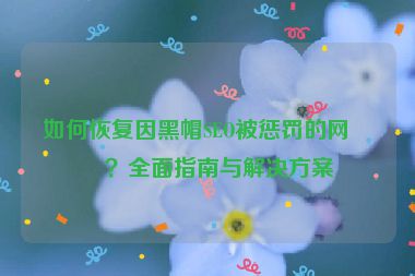 如何恢復(fù)因黑帽SEO被懲罰的網(wǎng)站？全面指南與解決方案