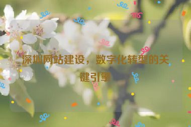 深圳網(wǎng)站建設(shè)，數(shù)字化轉(zhuǎn)型的關(guān)鍵引擎