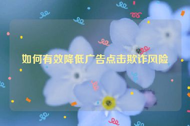 如何有效降低廣告點(diǎn)擊欺詐風(fēng)險(xiǎn)