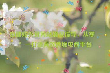 自建站外貿(mào)網(wǎng)站建設(shè)指導(dǎo)，從零到一打造高效跨境電商平臺(tái)