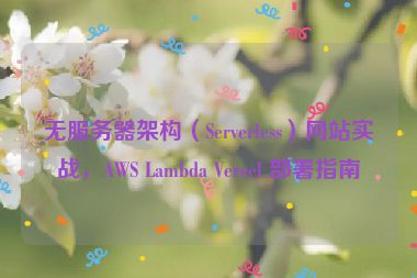 無(wú)服務(wù)器架構(gòu)（Serverless）網(wǎng)站實(shí)戰(zhàn)，AWS Lambda Vercel 部署指南