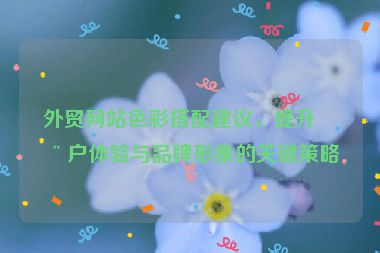 外貿(mào)網(wǎng)站色彩搭配建議，提升用戶體驗(yàn)與品牌形象的關(guān)鍵策略