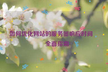 如何優(yōu)化網(wǎng)站的服務(wù)器響應(yīng)時間，全面指南