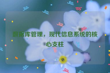 數(shù)據(jù)庫管理，現(xiàn)代信息系統(tǒng)的核心支柱