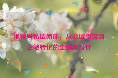 視頻號(hào)私域閉環(huán)，從公域引流到企微轉(zhuǎn)化的全鏈路設(shè)計(jì)