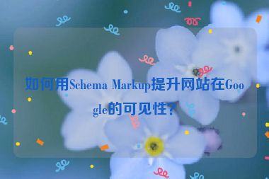 如何用Schema Markup提升網(wǎng)站在Google的可見性？