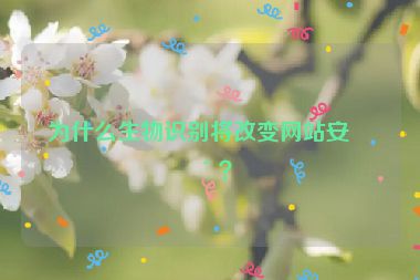 為什么生物識(shí)別將改變網(wǎng)站安全？