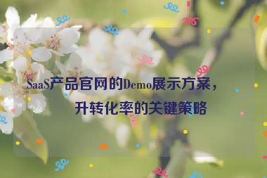 SaaS產(chǎn)品官網(wǎng)的Demo展示方案，提升轉化率的關鍵策略