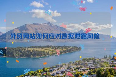 外貿(mào)網(wǎng)站如何應(yīng)對數(shù)據(jù)泄露風(fēng)險？