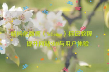 結(jié)構(gòu)化數(shù)據(jù)（Schema）標(biāo)記教程，提升網(wǎng)站SEO與用戶體驗(yàn)
