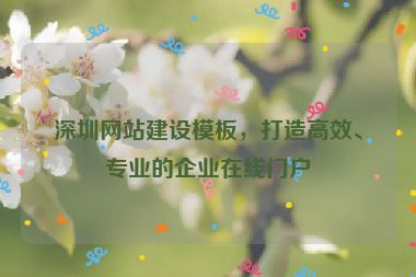深圳網(wǎng)站建設(shè)模板，打造高效、專業(yè)的企業(yè)在線門戶
