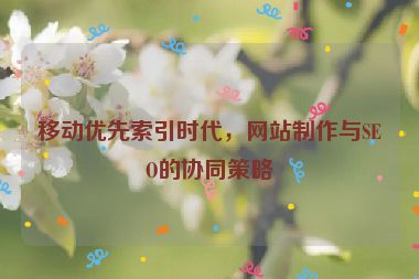 移動優(yōu)先索引時代，網(wǎng)站制作與SEO的協(xié)同策略