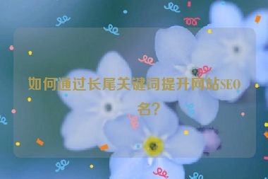 如何通過長尾關(guān)鍵詞提升網(wǎng)站SEO排名？