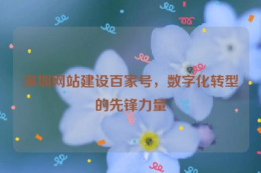 深圳網(wǎng)站建設(shè)百家號(hào)，數(shù)字化轉(zhuǎn)型的先鋒力量