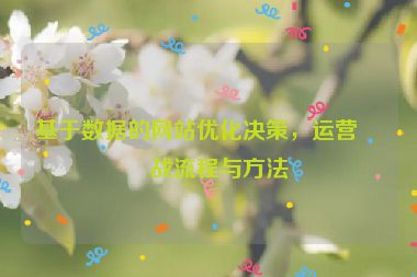 基于數(shù)據(jù)的網(wǎng)站優(yōu)化決策，運營實戰(zhàn)流程與方法