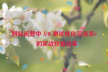 網(wǎng)站運營中 A/B 測試優(yōu)化引流頁面的實戰(zhàn)經(jīng)驗分享