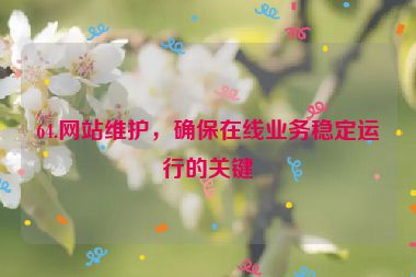64.網(wǎng)站維護(hù)，確保在線業(yè)務(wù)穩(wěn)定運行的關(guān)鍵