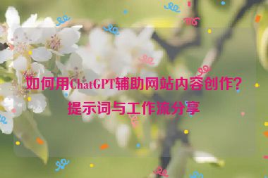 如何用ChatGPT輔助網(wǎng)站內(nèi)容創(chuàng)作？提示詞與工作流分享