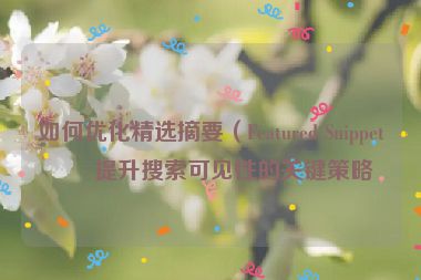 如何優(yōu)化精選摘要（Featured Snippet）提升搜索可見性的關(guān)鍵策略
