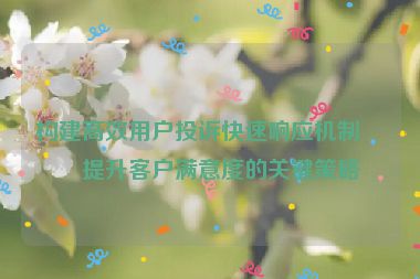 構(gòu)建高效用戶投訴快速響應(yīng)機(jī)制，提升客戶滿意度的關(guān)鍵策略