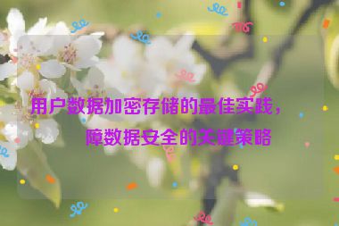 用戶數(shù)據(jù)加密存儲的最佳實踐，保障數(shù)據(jù)安全的關(guān)鍵策略