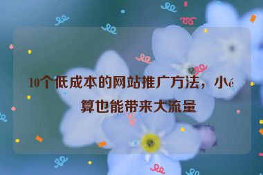 10個(gè)低成本的網(wǎng)站推廣方法，小預(yù)算也能帶來(lái)大流量