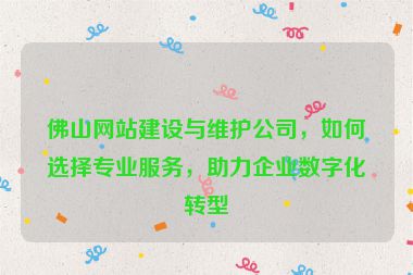 佛山網(wǎng)站建設(shè)與維護(hù)公司，如何選擇專業(yè)服務(wù)，助力企業(yè)數(shù)字化轉(zhuǎn)型