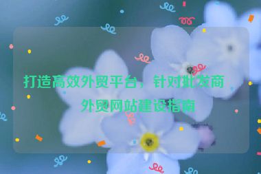 打造高效外貿(mào)平臺(tái)，針對(duì)批發(fā)商的外貿(mào)網(wǎng)站建設(shè)指南