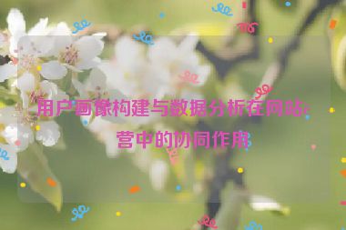 用戶畫像構(gòu)建與數(shù)據(jù)分析在網(wǎng)站運營中的協(xié)同作用