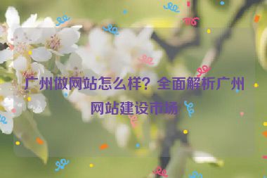 廣州做網(wǎng)站怎么樣？全面解析廣州網(wǎng)站建設(shè)市場(chǎng)