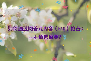 如何通過(guò)問(wèn)答式內(nèi)容（FAQ）搶占Google精選摘要？