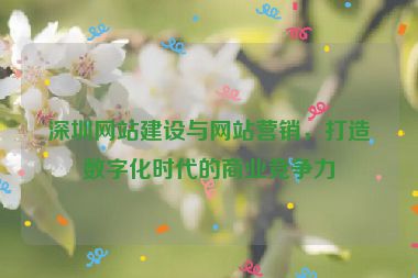 深圳網(wǎng)站建設(shè)與網(wǎng)站營銷，打造數(shù)字化時(shí)代的商業(yè)競爭力