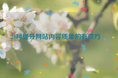 10種提升網(wǎng)站內(nèi)容質(zhì)量的有效方法