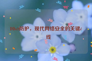 DDoS防護(hù)，現(xiàn)代網(wǎng)絡(luò)安全的關(guān)鍵防線