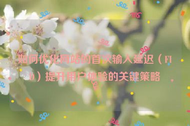 如何優(yōu)化網(wǎng)站的首次輸入延遲（FID）提升用戶體驗(yàn)的關(guān)鍵策略