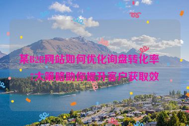 某B2B網(wǎng)站如何優(yōu)化詢盤轉(zhuǎn)化率？7大策略助你提升客戶獲取效率