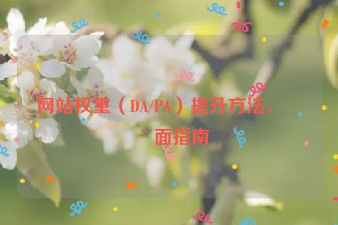 網(wǎng)站權(quán)重（DA/PA）提升方法，全面指南