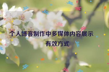 個人博客制作中多媒體內(nèi)容展示的有效方式