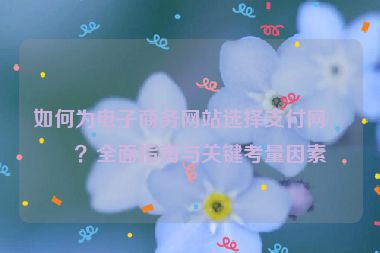 如何為電子商務(wù)網(wǎng)站選擇支付網(wǎng)關(guān)？全面指南與關(guān)鍵考量因素