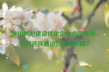 佛山網(wǎng)站建設(shè)優(yōu)化企業(yè)名單查詢，如何選擇最適合的服務(wù)商？