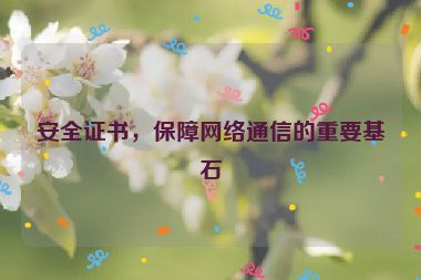 安全證書，保障網(wǎng)絡(luò)通信的重要基石
