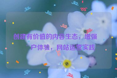 創(chuàng)建有價值的內(nèi)容生態(tài)，增強用戶體驗，網(wǎng)站運營實踐