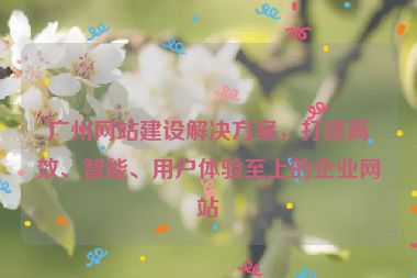 廣州網(wǎng)站建設(shè)解決方案，打造高效、智能、用戶體驗至上的企業(yè)網(wǎng)站