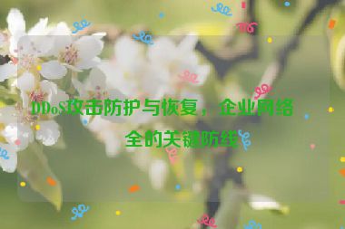 DDoS攻擊防護(hù)與恢復(fù)，企業(yè)網(wǎng)絡(luò)安全的關(guān)鍵防線