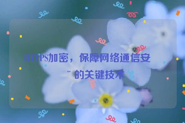 HTTPS加密，保障網(wǎng)絡(luò)通信安全的關(guān)鍵技術(shù)